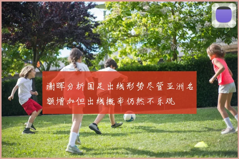 谢晖分析国足出线形势尽管亚洲名额增加但出线概率仍然不乐观